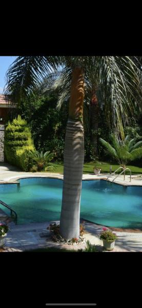Elhusseiny villa’s